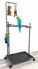 X-Large Parrot Bird Play Wood Perch Play Gym Play Ground Climbing Ladder Stand