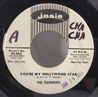 The Teardrops - You're My Hollywood Star - OG 1959 PROMO - RARE ROCKABILLY