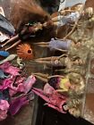 Barbie LOT OF 5 Dolls Plus Clothing and Accessories Used