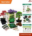 Bonsai Kit: Japanese Tree with Tools, Seeds, Pots - Grow Your Own Live Kit