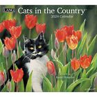 Lang Companies,  Cats In The Country 2024 Wall Calendar