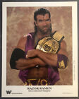 Original Unsigned 1993 Razor Ramon WWF 8x10 Promo Photo P-168 w/ Belt Scott Hall
