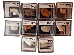 Micromount Mineral Lot MM79-10 Fine Specimens in Acrylic Boxes-Visit eBay Store!