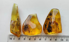 !Baltic natural, polished amber. Weighs 42 gr.