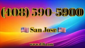 408 vanity Easy phone number (408) 590-5900 UNIQUE NEAT PHONE NUMBER