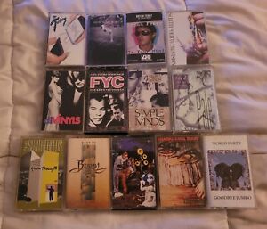 Lot Of  80's New Wave Cassette Tapes 90's Alternative The Tubes World Party