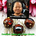 Leklai Healing Immortal Lp Somporn Ball Brown Naga Harmless Thai Amulet #15788