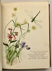 EXQUISITE Antique Victorian Artist Sketchbook Floral Insects Nature 1870s-1880s