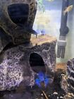 5 Electric Blue Crayfish -Live for Aquarium or Pond, Crayfish, Freshwater