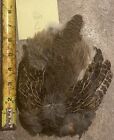 Adult Hen Hungarian Partridge Fly Tying Skin Pelt Feather Grouse Material Borax