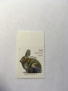 U.S. Stamp SC 5544 Brush Rabbit 2021 MNH