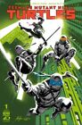Teenage Mutant Ninja Turtles #1  2024   Cover Select  IDW FIRST ISSUE! *PRESALE*
