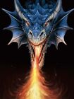 ANNE STOKES ART FIRE BREATHER DRAGON - 3D DRAGON PICTURE PRINT LARGE 300mmX400mm