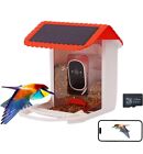 Smart AI Recognition Bird Feeder HD Streaming Video Solar WiFi Bluetooth - BF002