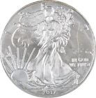 New ListingBetter Date 2017 American Silver Eagle 1 Troy Oz .999 Fine Silver *428