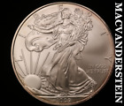 New Listing2009 American 1 oz Fine Silver Eagle - Choice Brilliant Unc  No Reserve  #V2941