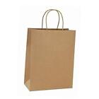 New Listing 10x5x13 Kraft Shopping Bags 100Pcs Paper Bags Paper Gift Bags, Brown