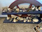 Huge lot crystals rocks fossils minerals Geodes Collection, Son Is Selling All!!