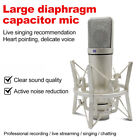 U87 Condenser Microphone With Shockmount For Vocal Music Studio Sound