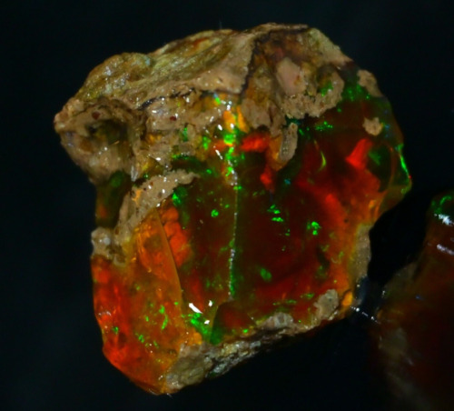 Multi Fire Opal Rough 63.55 Carat Natural Ethiopian Opal Raw Welo Opal Gemstone