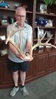 New ListingBIG FRAME/LONG BROWTINES/WHITETAIL RACK/SOLID SKULL/189.5