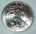 2015 American Silver Eagle 1 Troy Oz. .999 Fine One Dollar Coin BU