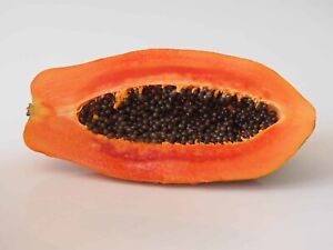 50 Papaya Seeds Red Lady DWARF WAIMANALO papaya Tropical  Fruit seeds carica