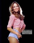 ACTRESS CATHERINE BACH - 8X10 PUBLICITY PHOTO (MW000)