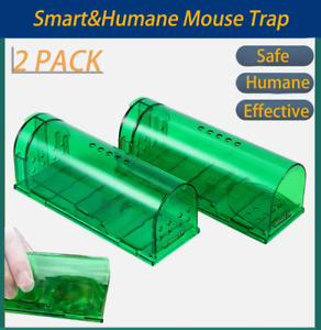 2 Pack Humane Mouse Traps Live Catch and Releas Best Selling Mousetrap rat trap