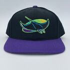 Tampa Bay Devil Rays MLB Vintage 90s FL Baseball Twins Snapback Sports Hat Cap