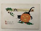 Halloween Vintage Postcard - Gibson Art Company
