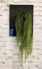 Pottery Barn Faux Button Leaf Fern, Hanging Artificial Plant Wall Art, New *read