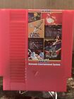 NES FOREVER DUO GAMES OF NES 852 in 1 Tested (adventures of link)
