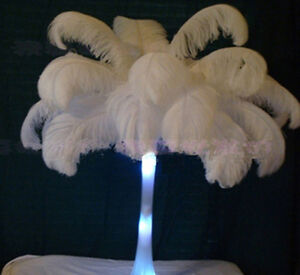 Wholesale 10-100 PCS 6-30 inch/15-75cm White Ostrich Feathers DIY Wedding decora