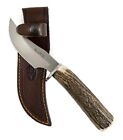 Muela Knife Mo V Sheath Leather Case with Deer Stag Handle Hunting DP-10A New
