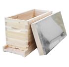 5 frame NUC beehive complete kit with screened /ventilated bottom floor & Drawer