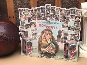 SPORTING LIFE Die-Cut, 40 card Display Sign- Lion Coffee Basketball Set!