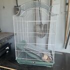 Prevue Hendrys Parakeet/Cockatiel/Small Mammal Cage