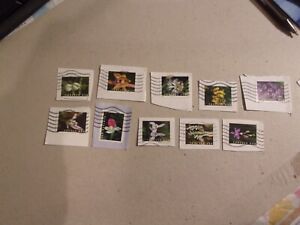USA Used, 2020 Issues, Dealers Clearance 10 Sets Forever Wild Orchids