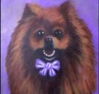 New ListingPomeranian Small Dog animal Kids Roompainting acrylic on canvas original artist