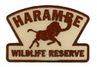 Disney Animal Kingdom Hat Harambe Wildlife Pin Rare