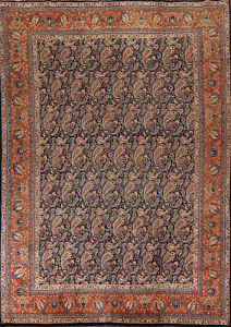 Vintage Navy Blue/ Rust Paisley Kashmar Wool Hand-knotted Living Room Rug 10x13