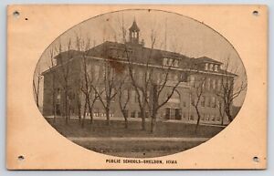 Sheldon IA~Winter Barren Trees~Public School~Oval Postcard 1907 Iler Milaca MN