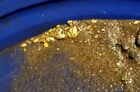 Gold Paydirt Trommel Concentrates GUARANTEED GOLD + Unsearched Panning Material