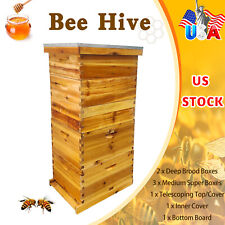 10-Frame 5 Boxes size Beehive Frames /Bee Hive Frame/ Bee House for Beekeeping