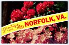 New ListingGreetings from Norfolk Virginia Dual View Flowers - VA POSTCARD