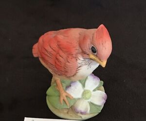 Baby Cardinal Andrea by Sadek Porcelain Realistic Bird Figurine #6350 Japan 4