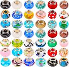 50pc Mix Silver Plate Murano Lampwork European Glass Crystal Charm Beads Spacers