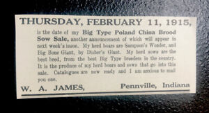 1915 W.A. James Hog Public Sale - Pennville - Indiana - Pig Farm Advertising