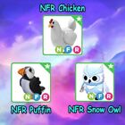 ADOPT from ME -NFR Chicken-Puffin-Snow Owl - The Trusted Store!!